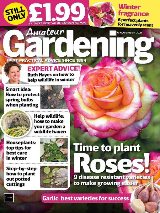 Title details for Amateur Gardening by Kelsey Publishing Ltd - Available